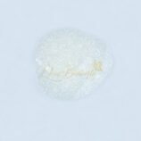 ABP_8509 swatch 1 (3)